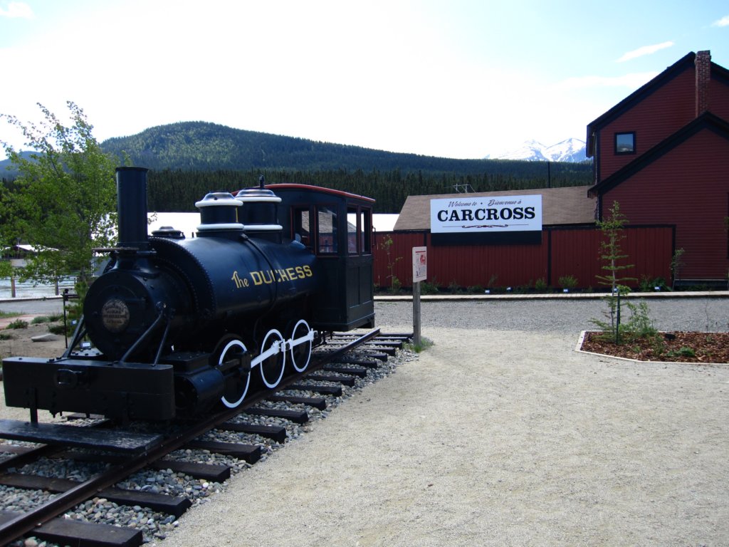 carcrosschocho.jpg