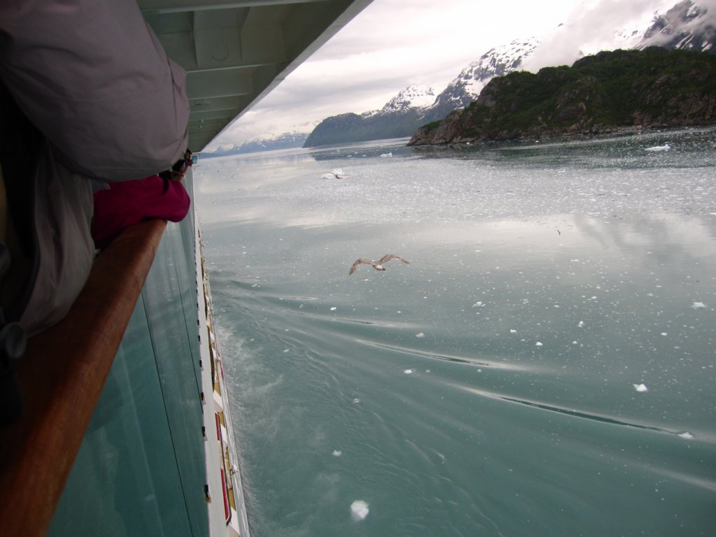 glacierbay18.jpg