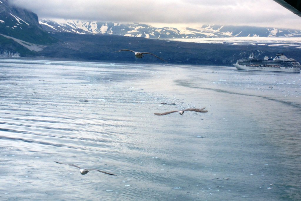 glacierbay28.jpg