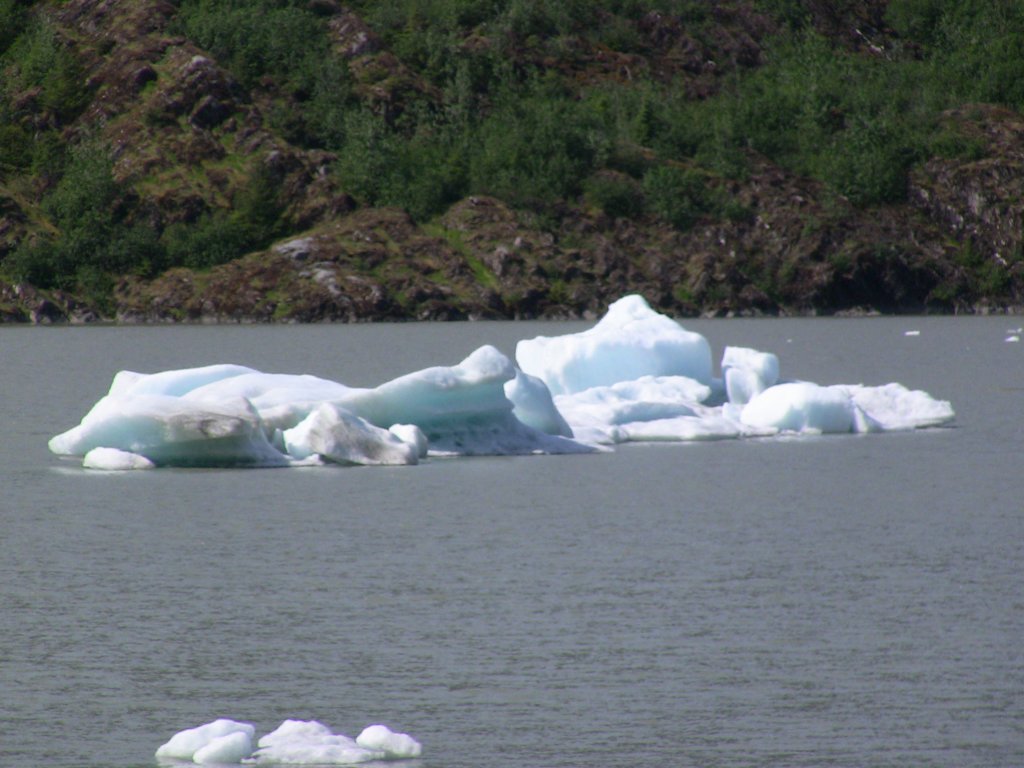 iceberg.jpg