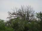 droughtmay201116_small.jpg