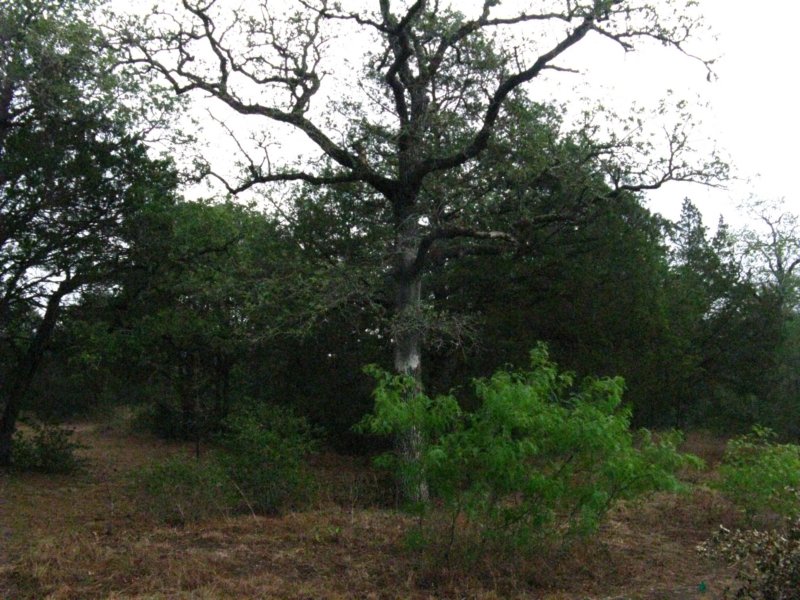 droughtmay201132.jpg
