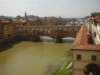 florence50_small.jpg