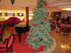img_0362_small.jpg