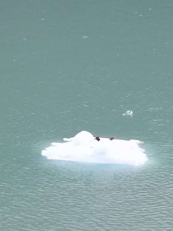 sawyerglacier3.jpg
