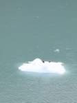 sawyerglacier3_small.jpg