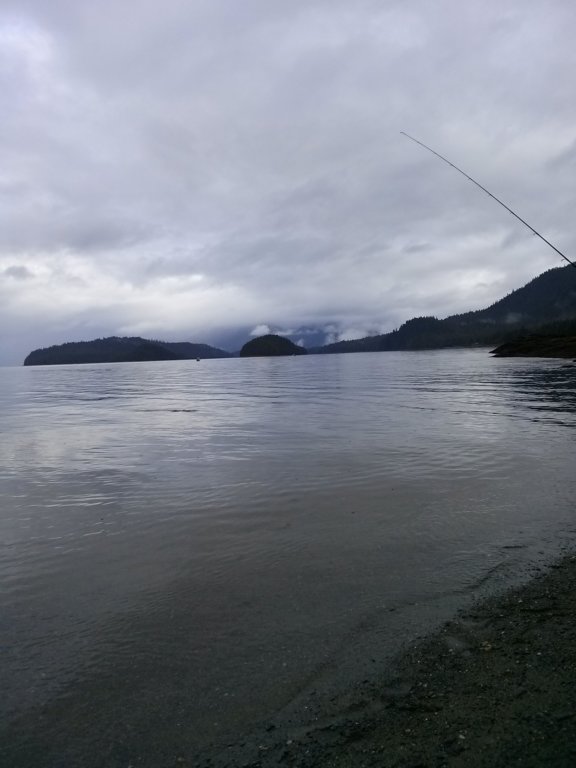 settlerscovethesalmonwererunninggoinfishing4.jpg