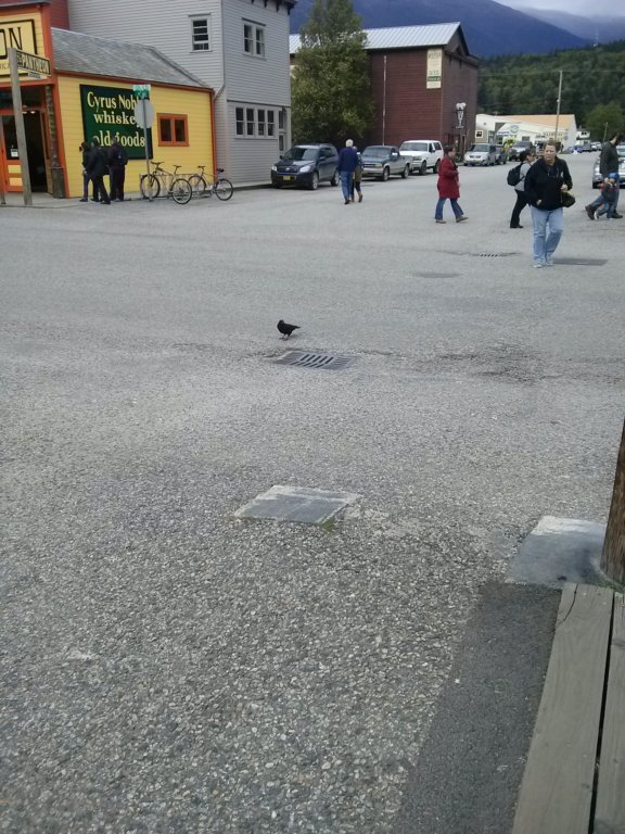 skagway2.jpg