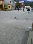 skagway2_small.jpg
