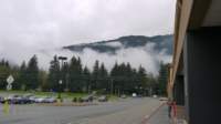 theblackwallymartinjuneau8_small.jpg