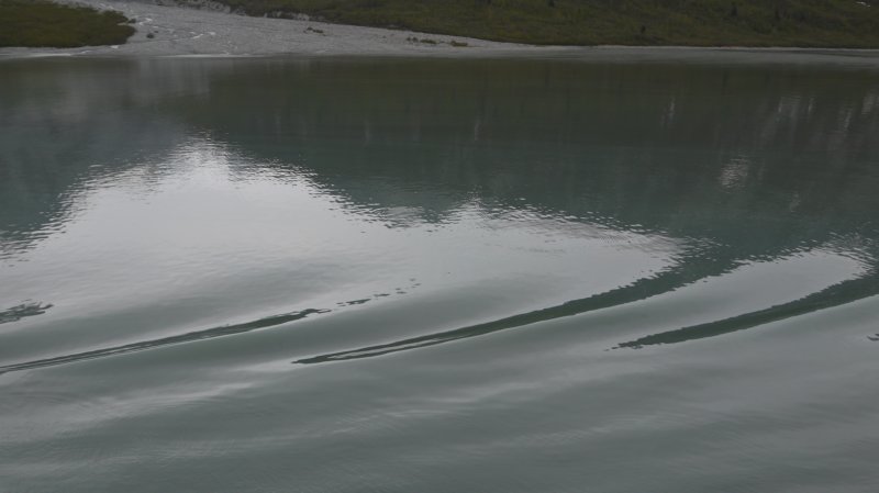 nclpearlglacierbay7.jpg