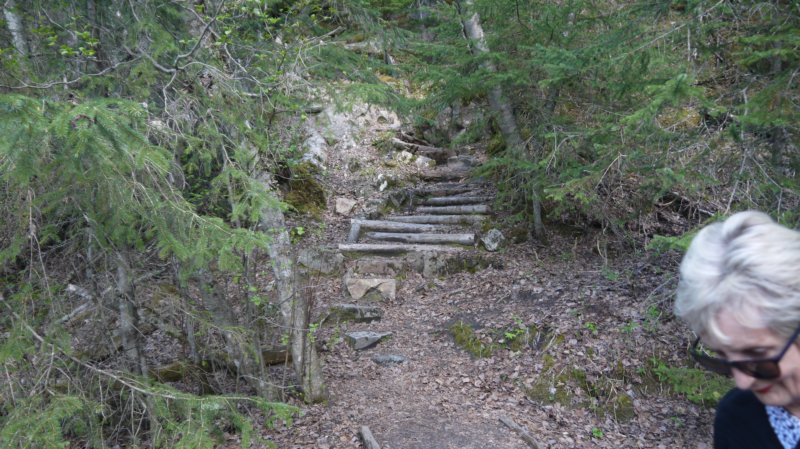 skagwaydollytourchilkoottrail2.jpg