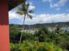samanadominicanrepublic24_small.jpg