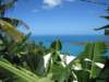 stthomasusvirginislands18_small.jpg