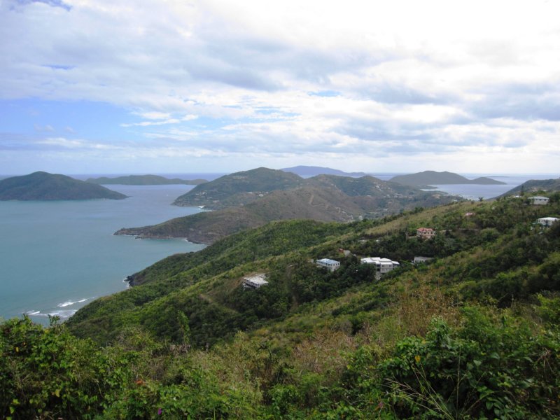 tortola41.jpg