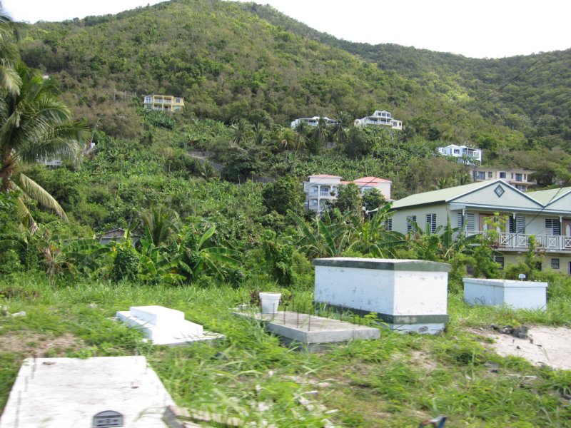 tortola8.jpg