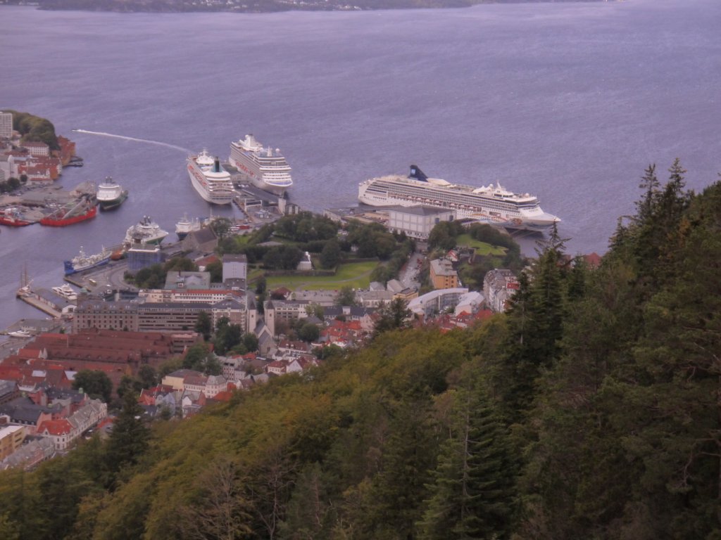 viewfrommtflyen.jpg