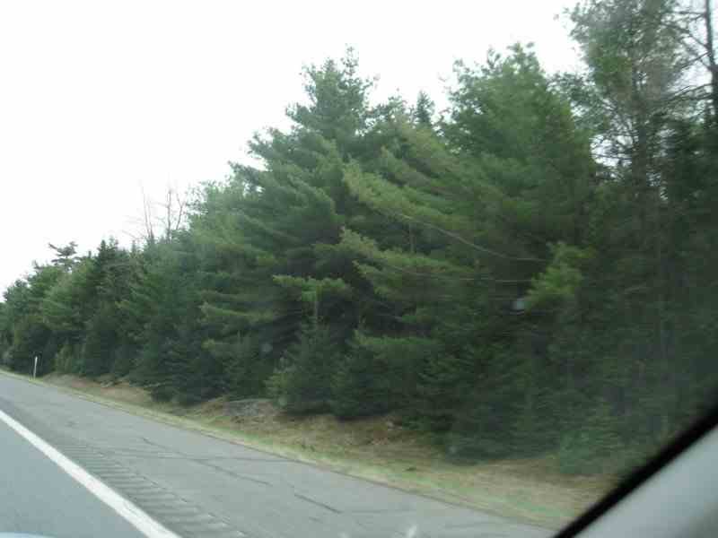 novascotia4.jpg