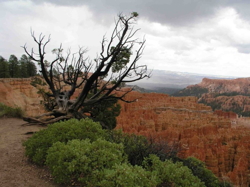 brycecanyon02.jpg