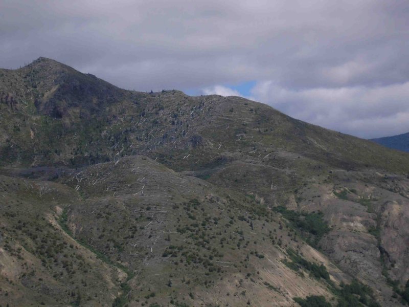 mtsthelens03.jpg