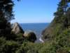 oregoncoast03_small.jpg