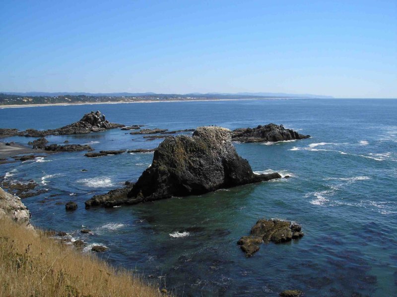 oregoncoast04.jpg