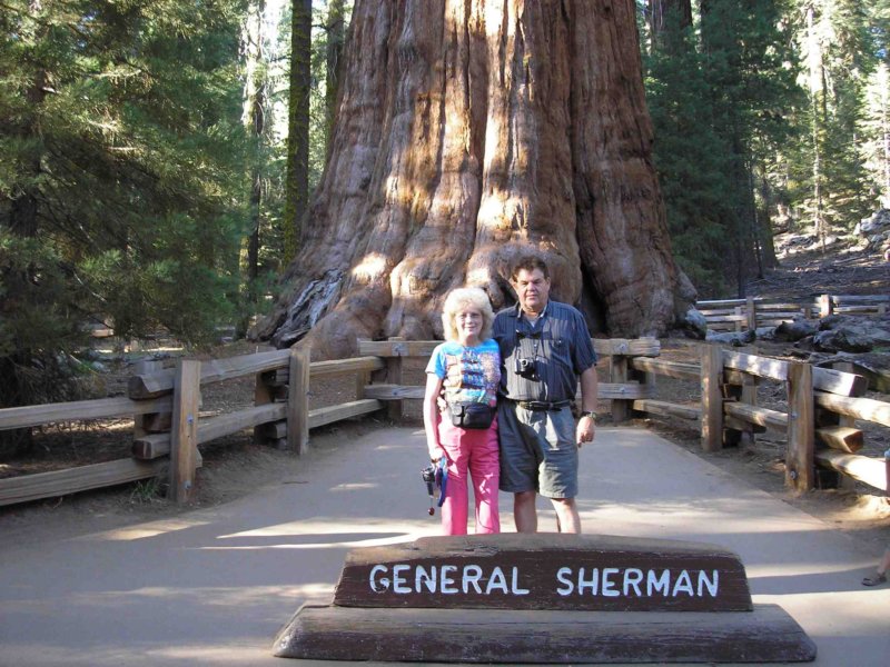 sequoia01.jpg