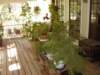 porchplantwalkoffame_small.jpg