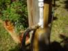 shutoffvalveyardstepplantholder_small.jpg