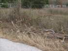 klaustornadodec20076_small.jpg