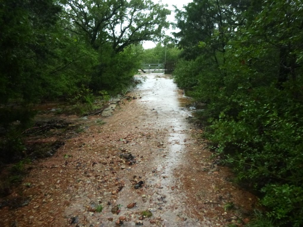 mydrivewaywatercomesfrommcdonaldlanedownthedrivewashingitout.jpg