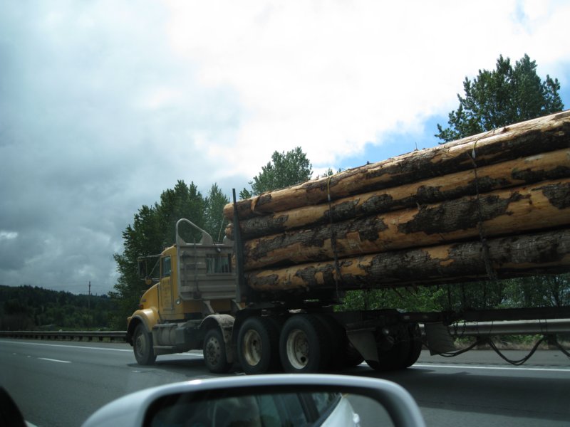 washingtonlogging.jpg