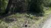 _115938_856_small.jpg