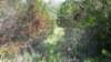 _120024_617_small.jpg