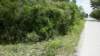 _133937_564_small.jpg