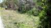 _133955_991_small.jpg