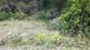 _134007_398_small.jpg