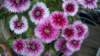 _141728_717_small.jpg