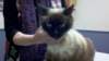 _165755_312_small.jpg