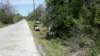 copyof20120404_120032_418_small.jpg