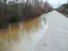 janflood10_small.jpg