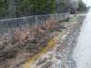 janflood13_small.jpg
