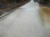 janflood16_small.jpg