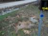 janflood17_small.jpg