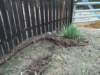 janflood18_small.jpg
