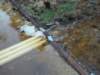 janflood22_small.jpg