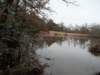 janflood26_small.jpg