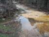 janflood4_small.jpg