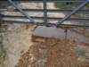 janflood8_small.jpg