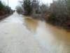 janflood9_small.jpg